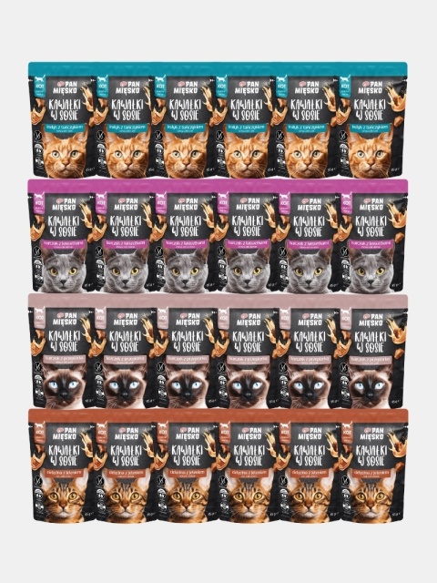 Karma mokra dla kota Pan Mięsko kawałki w sosie mix smaków 24x85g