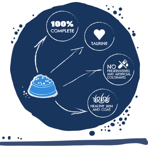 Karma sucha dla kota TEO bogata w rybę bałtycką 400g
