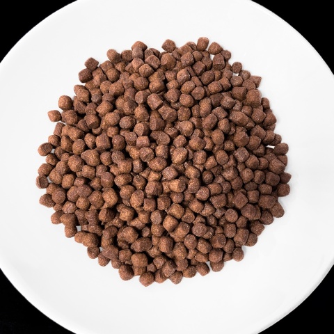 Lekkostrawna karma sucha dla psa VET RESPONSE VETERINARY DIET GASTROINTESTINAL 1,6 kg